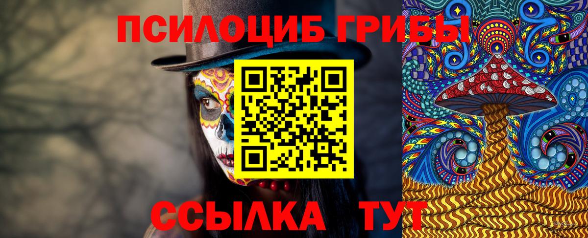 Гусь-Хрустальный  Галлюциногенные грибы MAGIC MUSHROOMS  Вход с VPN 